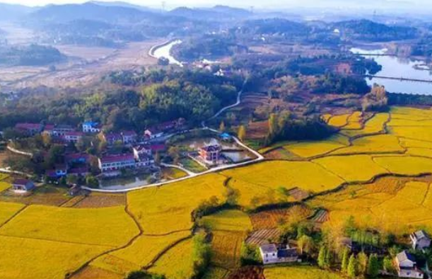 鄉村振興應當防范的七大挑戰性問(wèn)題