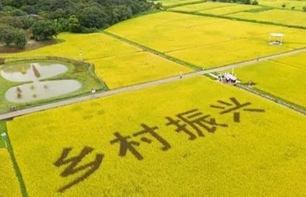 2023年不能錯過(guò)的10項鄉村振興獎補資金項目！